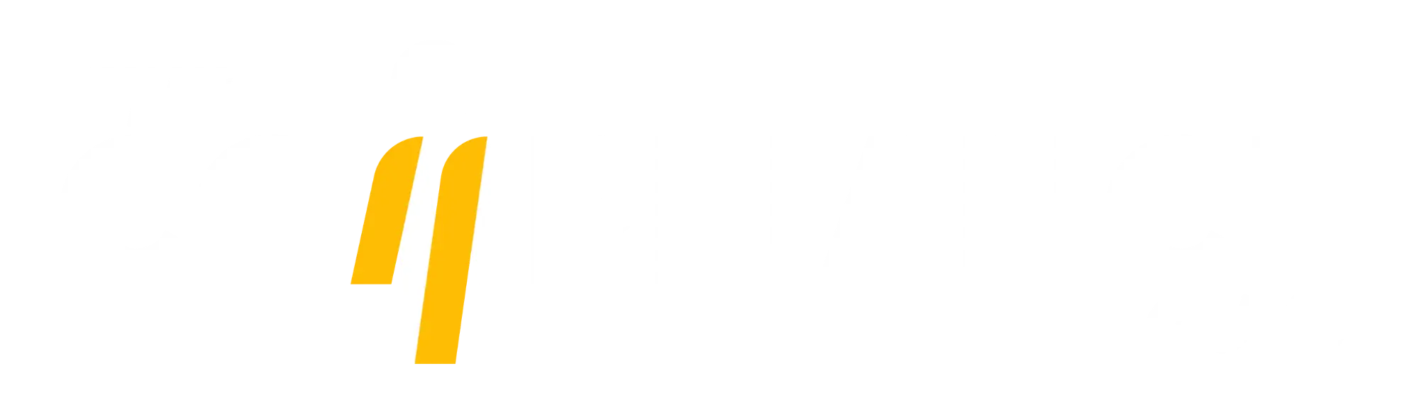 The Compliance Guys Logo